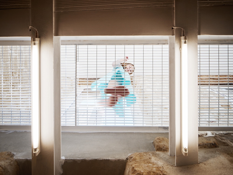 UNIT 9 _ (c) david foessel 